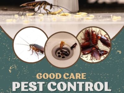 GOOD CARE PEST CONTROL