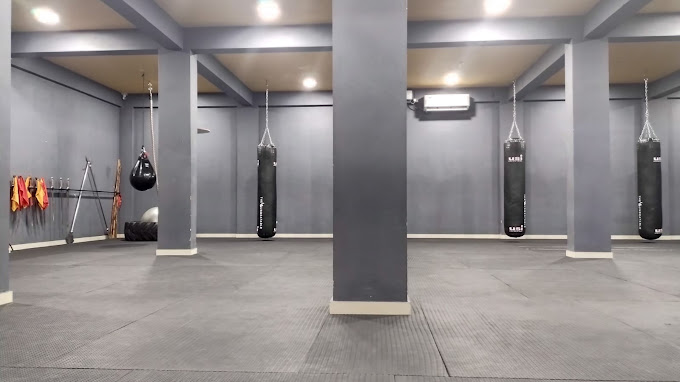 INTERNATIONAL MARTIAL ARTS ACADEMY