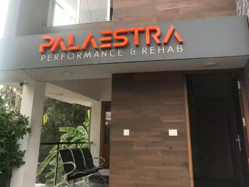 Palaestra Performance & Rehab