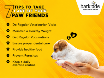 Bark'ode Pet Hypermarket & Grooming Studio