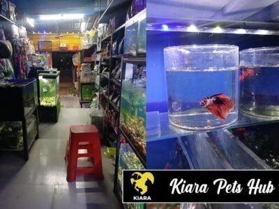 Kiara Pets Hub